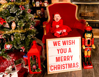 Christmas Family Portraits