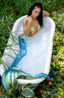 Mermaid Gallery